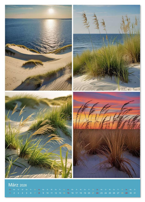 Endlich Ostsee Urlaub (CALVENDO Premium Wandkalender 2026)