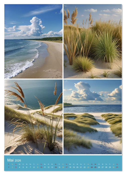 Endlich Ostsee Urlaub (CALVENDO Premium Wandkalender 2026)