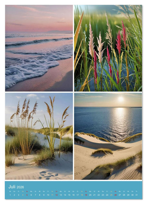 Endlich Ostsee Urlaub (CALVENDO Premium Wandkalender 2026)