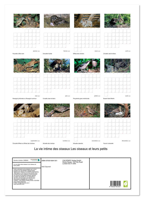 La vie intime des oiseaux Les oiseaux et leurs petits (CALVENDO Calendrier mensuel 2026)