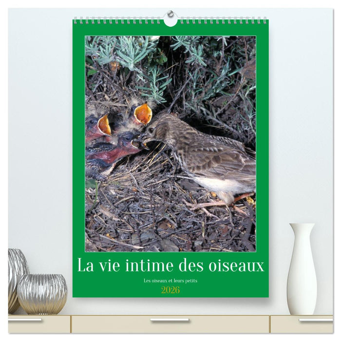 La vie intime des oiseaux Les oiseaux et leurs petits (CALVENDO Calendrier supérieur 2026)