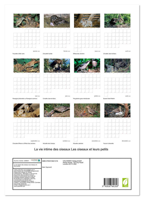 La vie intime des oiseaux Les oiseaux et leurs petits (CALVENDO Calendrier supérieur 2026)