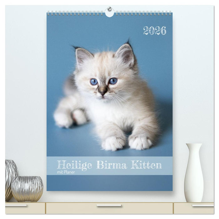Heilige Birma Kitten Kalender mit Planer (CALVENDO Premium Wandkalender 2026)