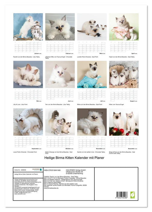 Heilige Birma Kitten Kalender mit Planer (CALVENDO Wandkalender 2026)