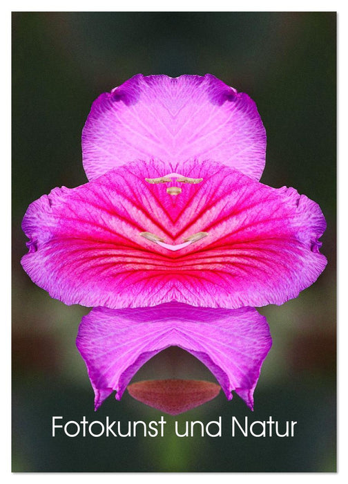 Fotokunst und Natur 2026 (CALVENDO Wandkalender 2026)