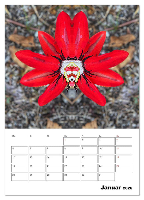 Fotokunst und Natur 2026 (CALVENDO Wandkalender 2026)