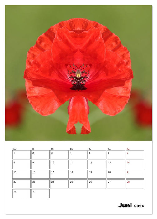 Fotokunst und Natur 2026 (CALVENDO Wandkalender 2026)