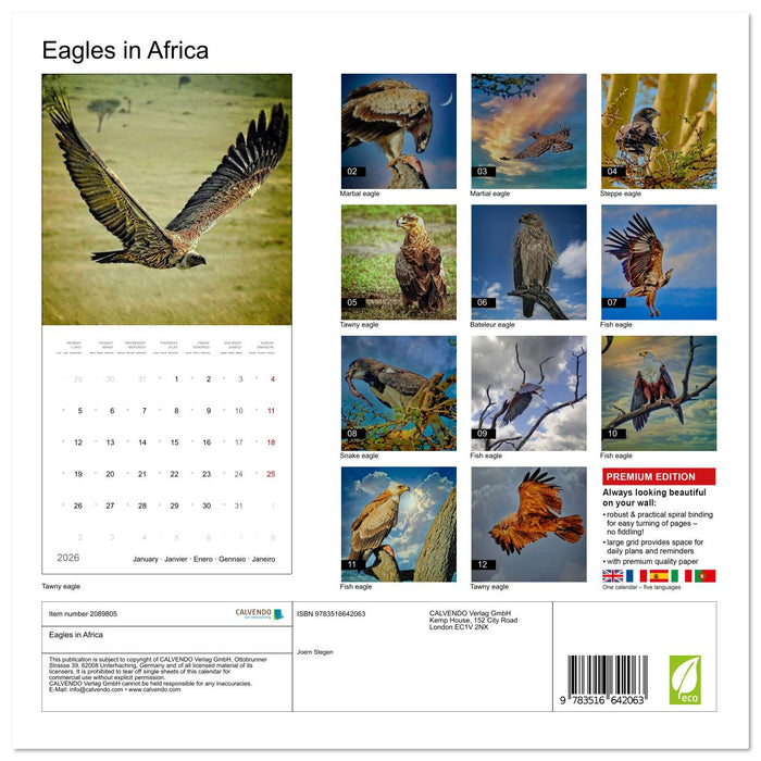 Eagles in Africa (CALVENDO Monthly Calendar 2026)