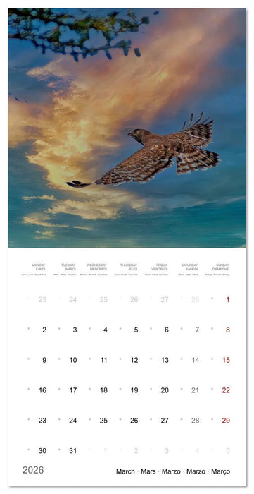 Eagles in Africa (CALVENDO Monthly Calendar 2026)