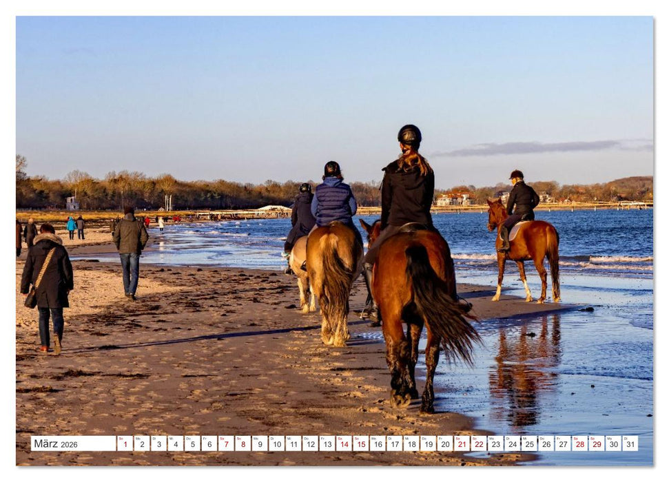 Schönes Mecklenburg-Vorpommern - Landschaften am Meer (CALVENDO Premium Wandkalender 2026)