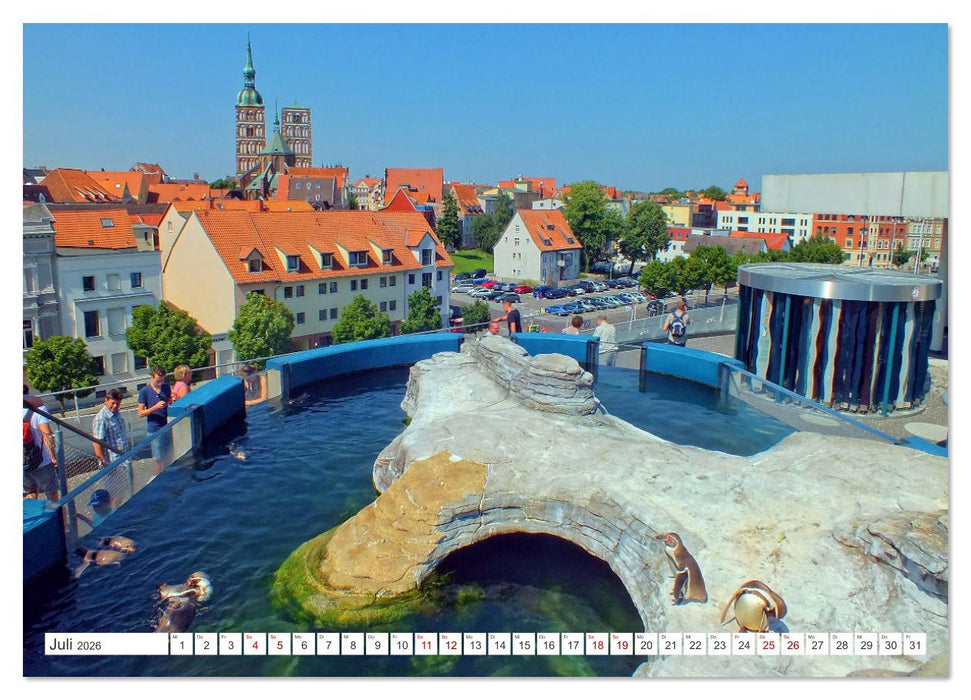 Schönes Mecklenburg-Vorpommern - Landschaften am Meer (CALVENDO Premium Wandkalender 2026)