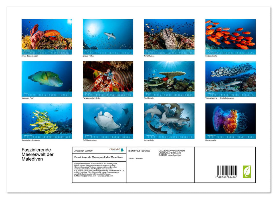 Faszinierende Meereswelt der Malediven (CALVENDO Wandkalender 2026)