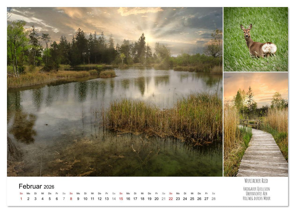 Schwabens Riede und Moore (CALVENDO Premium Wandkalender 2026)