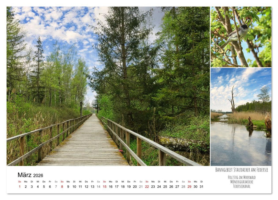 Schwabens Riede und Moore (CALVENDO Premium Wandkalender 2026)