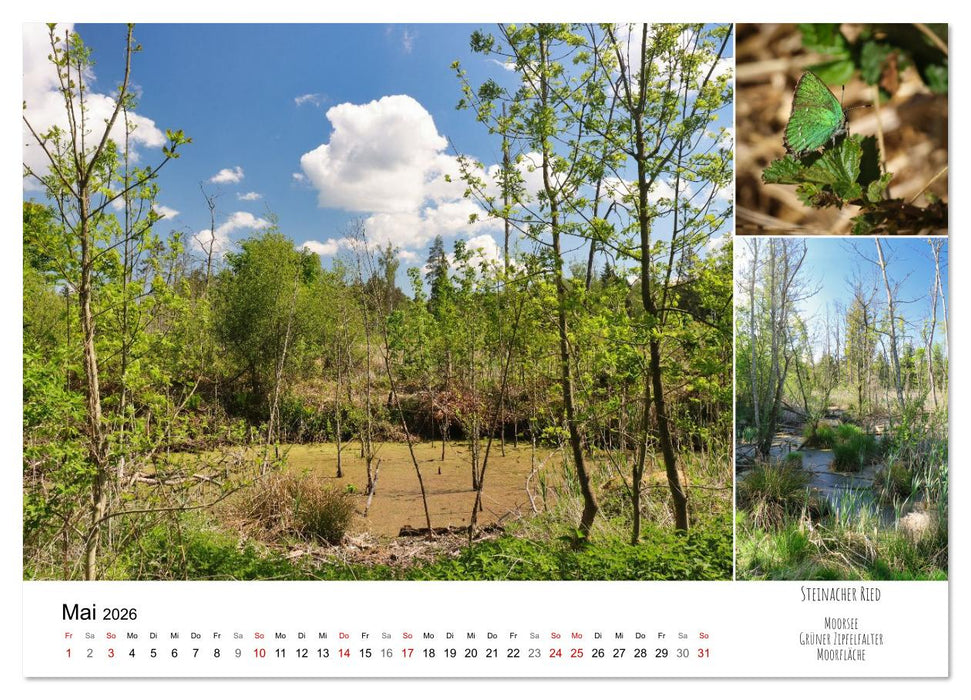 Schwabens Riede und Moore (CALVENDO Premium Wandkalender 2026)