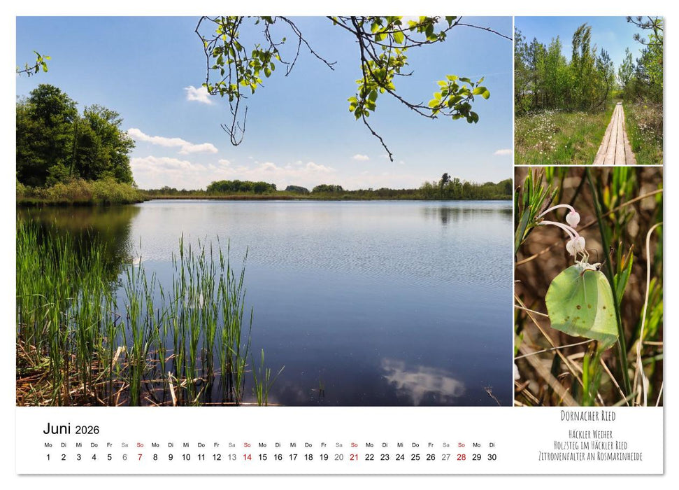 Schwabens Riede und Moore (CALVENDO Premium Wandkalender 2026)