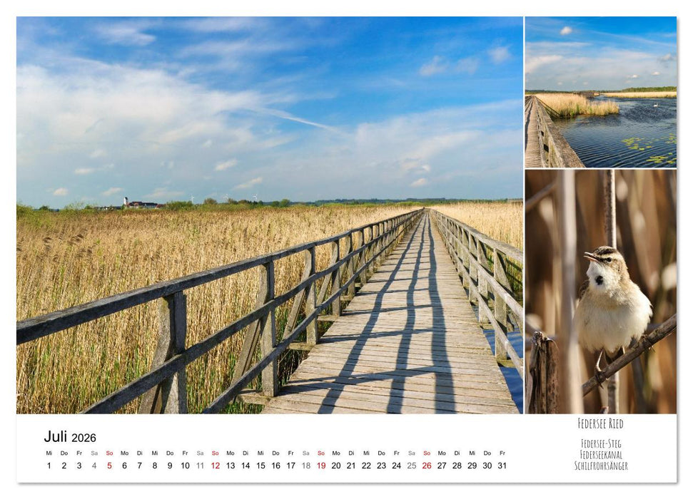 Schwabens Riede und Moore (CALVENDO Premium Wandkalender 2026)