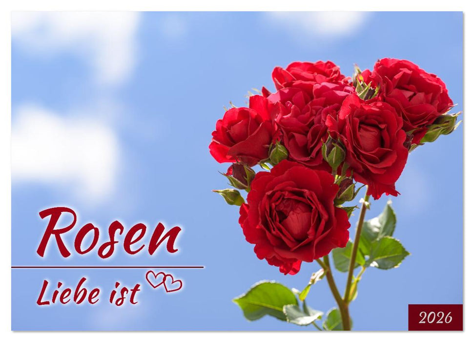 Rosen, Liebe ist (CALVENDO Wandkalender 2026)