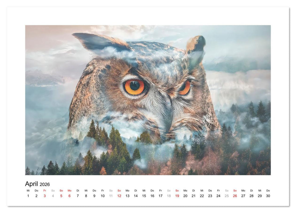Tierisch wilde Waldbewohner (CALVENDO Premium Wandkalender 2026)