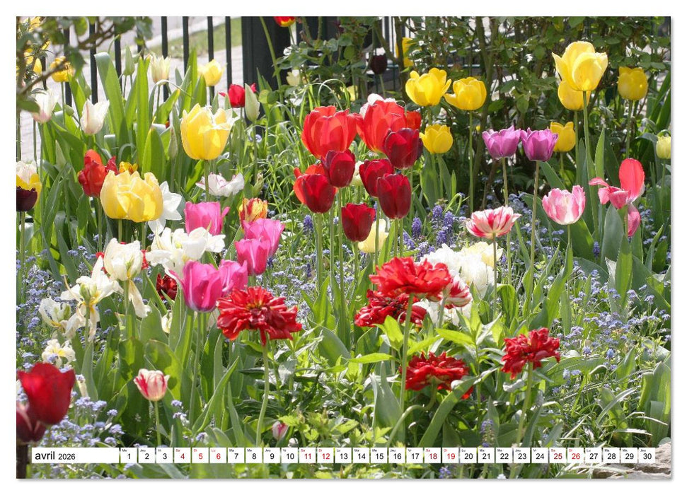 Au royaume des fleurs (CALVENDO Calendrier mensuel 2026)