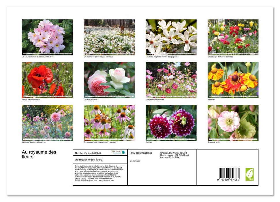 Au royaume des fleurs (CALVENDO Calendrier supérieur 2026)