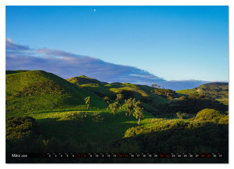 Neuseeland - vom Cape Reinga bis zum Franz-Josef-Gletscher (CALVENDO Premium Wandkalender 2026)