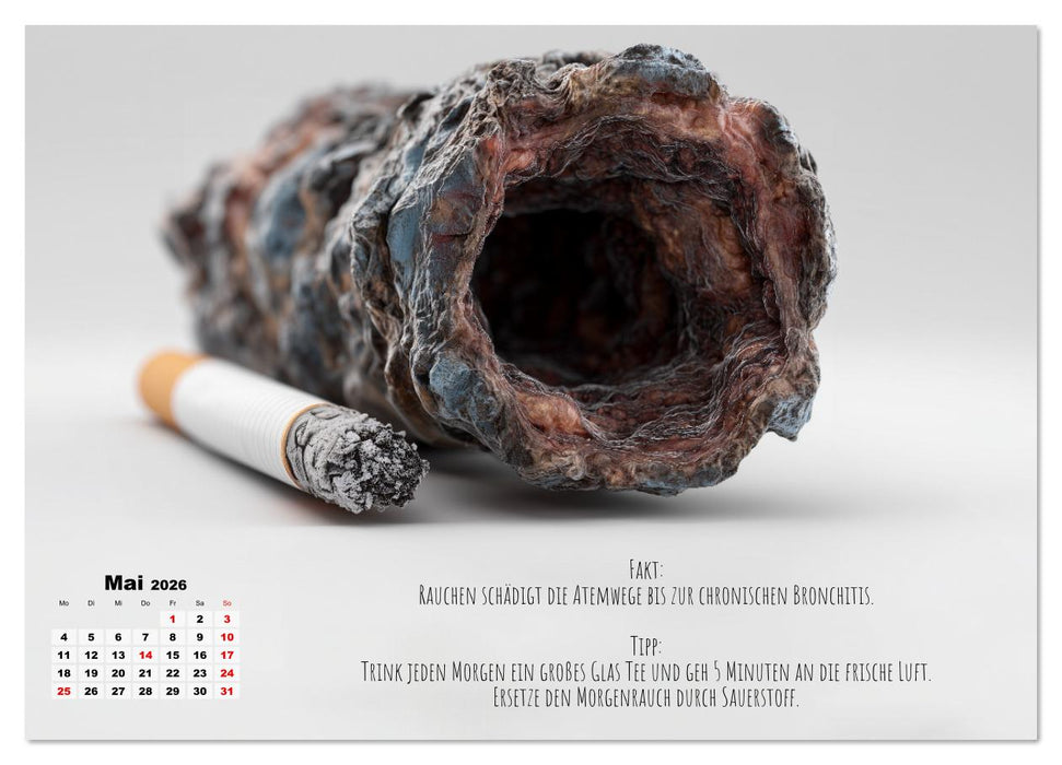 Nichtraucher Kalender - Rauchfrei werden mit Fakten und Tipps für Raucher (CALVENDO Wandkalender 2026)