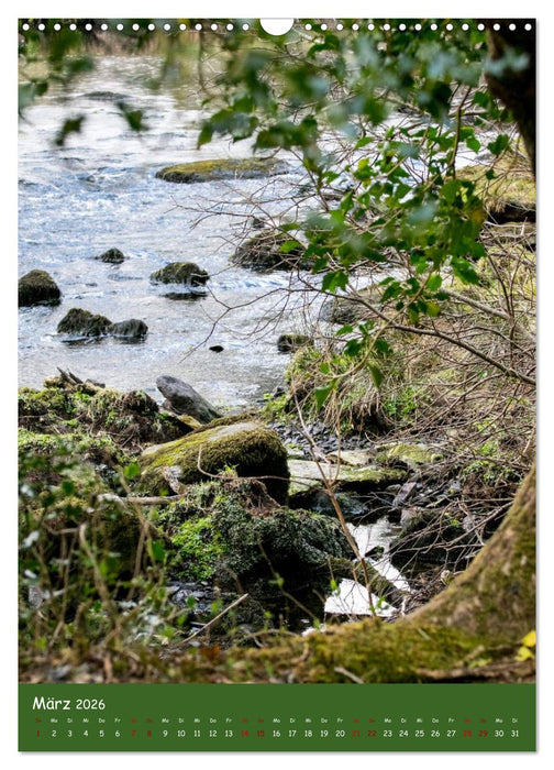 Irland - die grüne Insel (CALVENDO Wandkalender 2026)