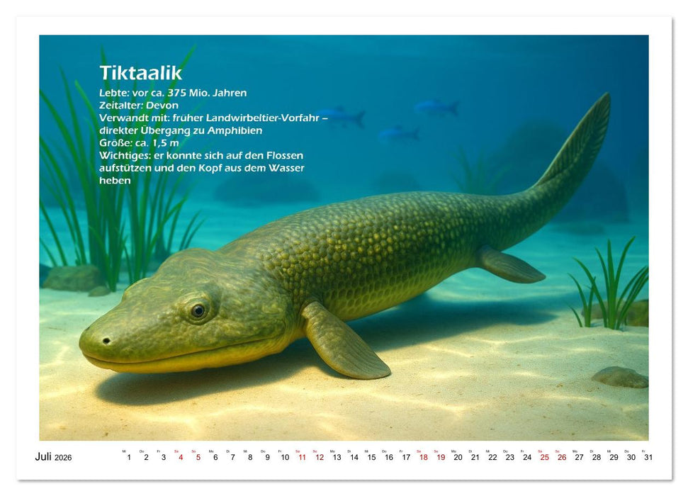 Urige Meerestiere prähistorisch und seltsam (CALVENDO Premium Wandkalender 2026)
