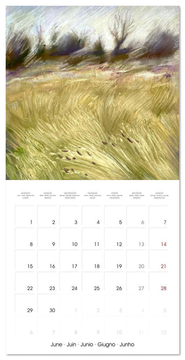 Lieux merveilleux (CALVENDO Calendrier mensuel 2026)