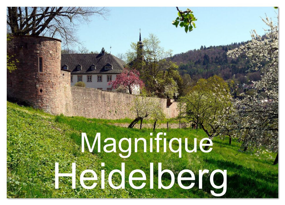 Magnifique Heidelberg (CALVENDO Calendrier mensuel 2026)