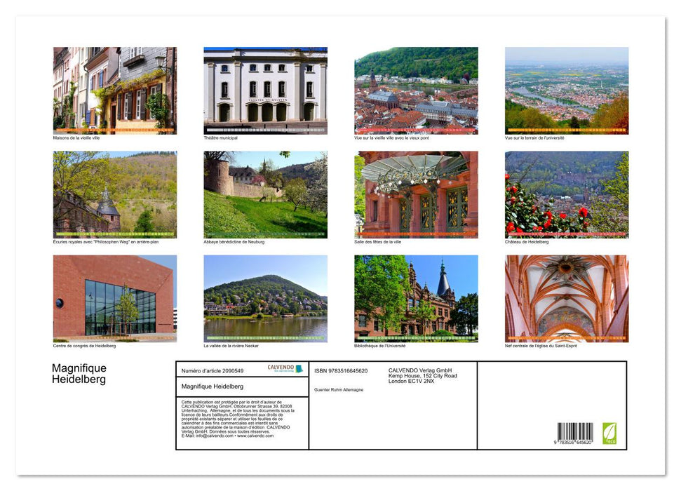 Magnifique Heidelberg (CALVENDO Calendrier mensuel 2026)