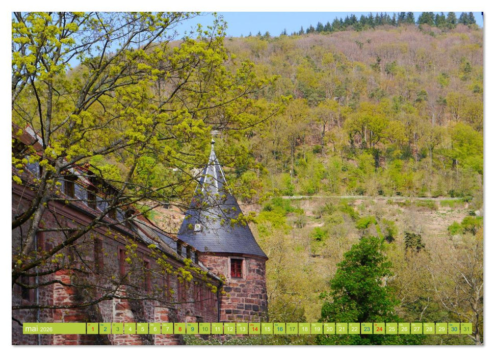 Magnifique Heidelberg (CALVENDO Calendrier mensuel 2026)