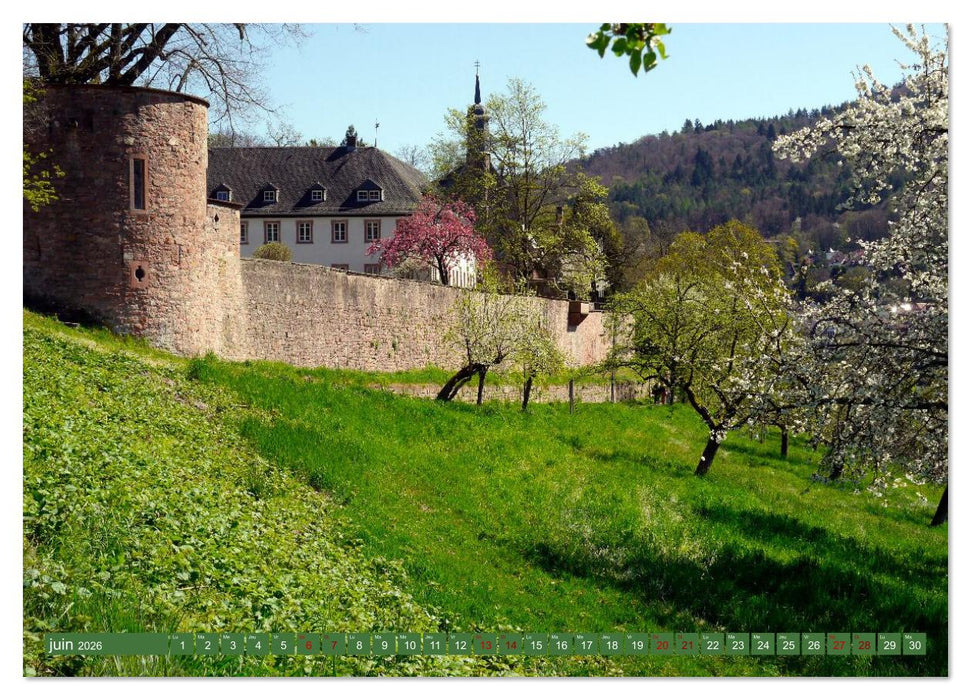 Magnifique Heidelberg (CALVENDO Calendrier mensuel 2026)