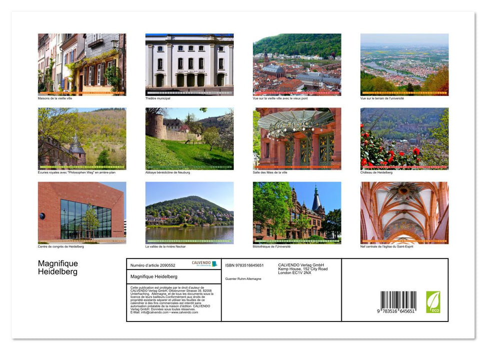Magnifique Heidelberg (CALVENDO Calendrier supérieur 2026)