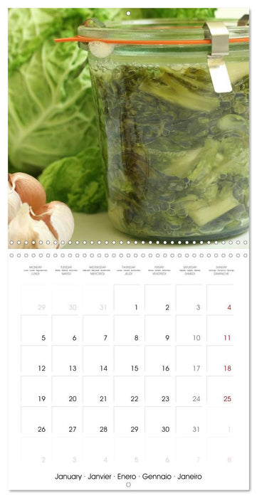 FERMENTED VEGETABLES (CALVENDO Monthly Calendar 2026)