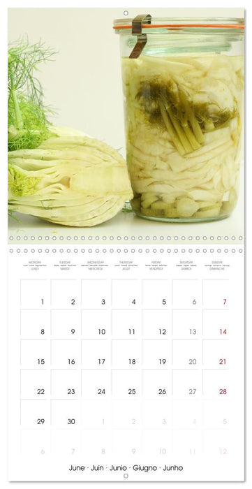 FERMENTED VEGETABLES (CALVENDO Monthly Calendar 2026)