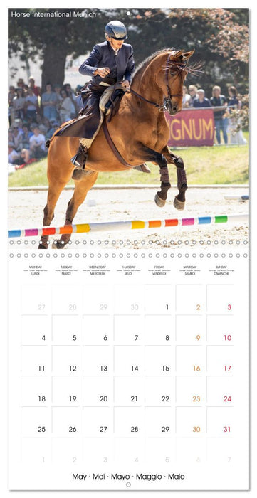 The Speed Trail (CALVENDO Monthly Calendar 2026)