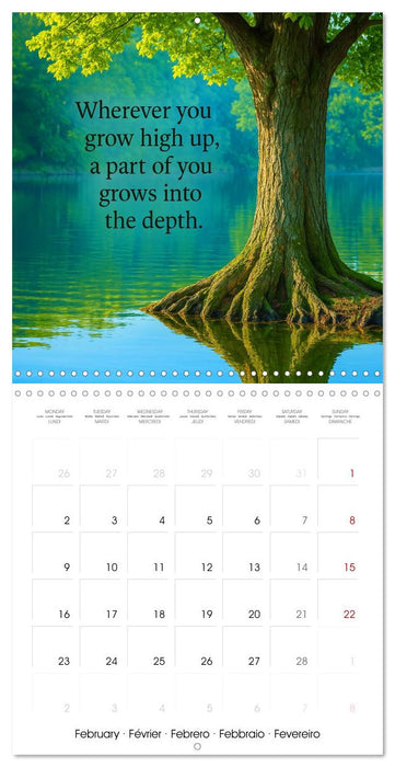 Let the moment guide you (CALVENDO Monthly Calendar 2026)