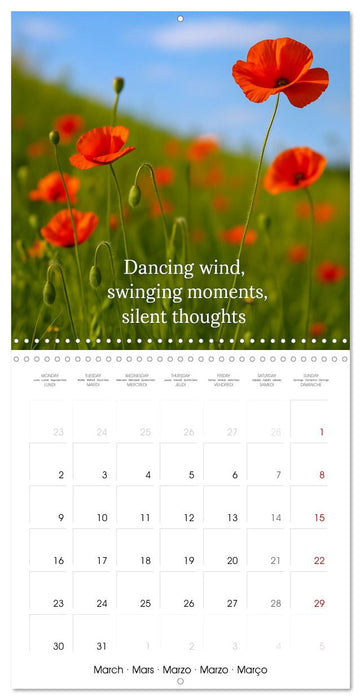 Let the moment guide you (CALVENDO Monthly Calendar 2026)