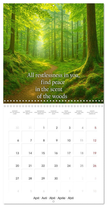 Let the moment guide you (CALVENDO Monthly Calendar 2026)