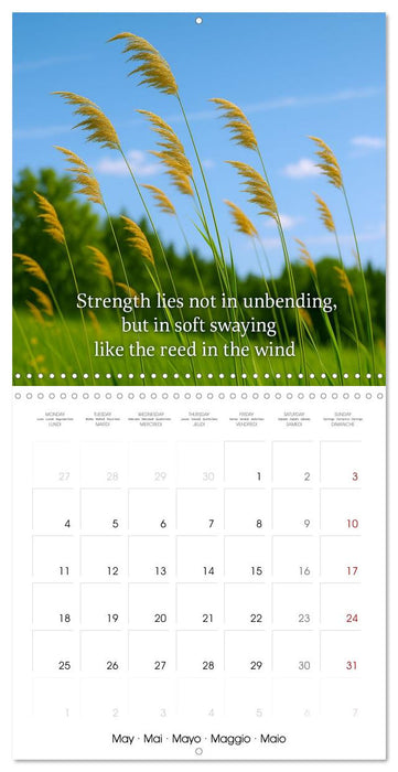 Let the moment guide you (CALVENDO Monthly Calendar 2026)