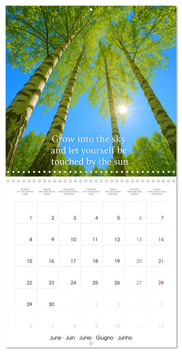Let the moment guide you (CALVENDO Monthly Calendar 2026)