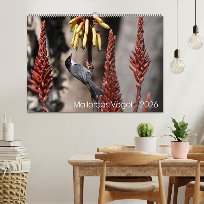 Mallorcas Vögel (CALVENDO Wandkalender 2026)