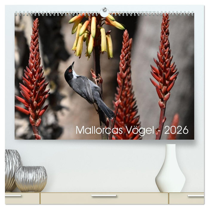 Mallorcas Vögel (CALVENDO Premium Wandkalender 2026)