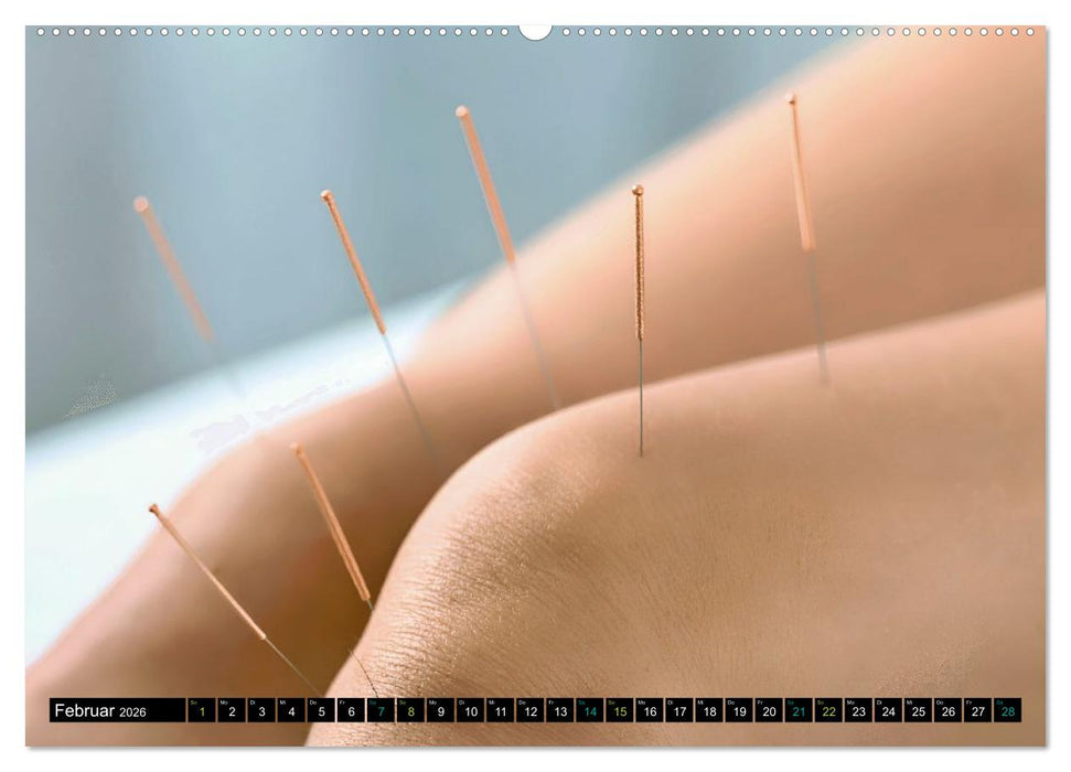 Faszination Knie - Das Gelenk, das uns bewegt (CALVENDO Premium Wandkalender 2026)