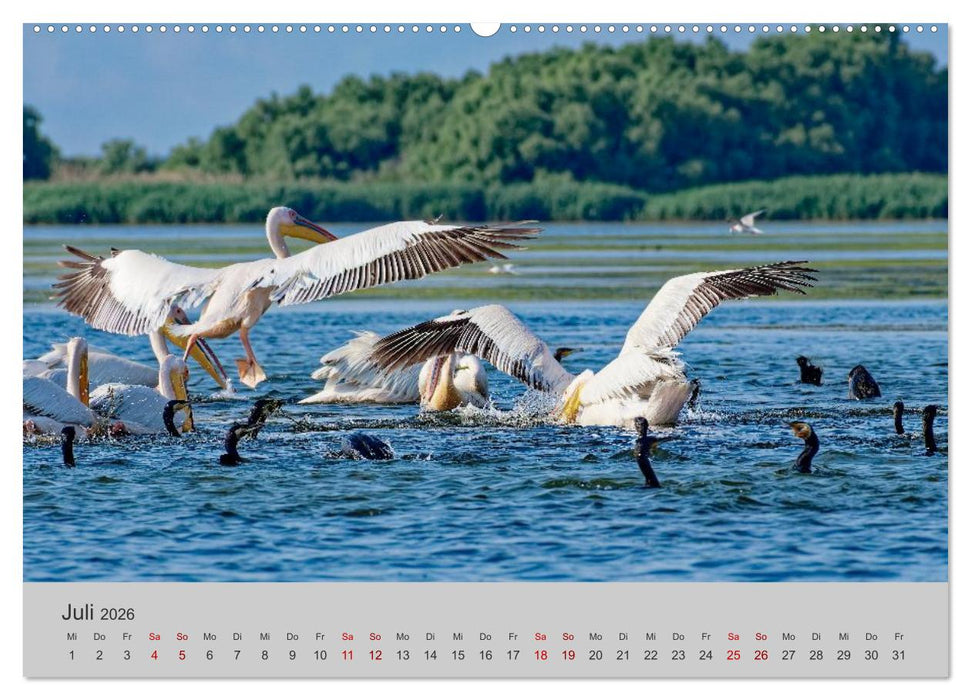 Wasser Europas (CALVENDO Premium Wandkalender 2026)