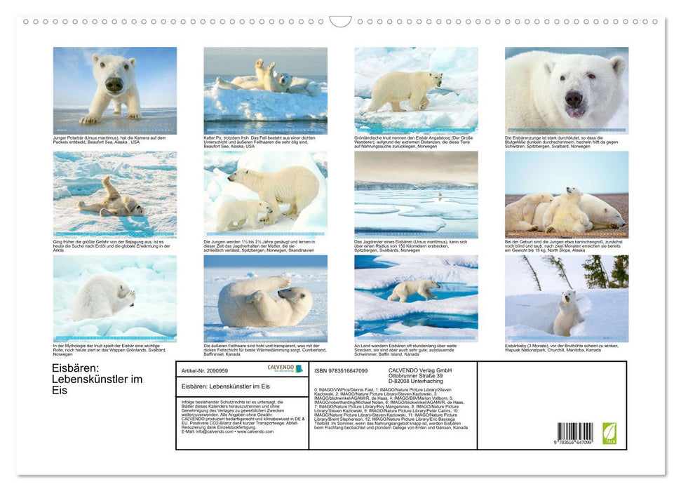 Eisbären: Lebenskünstler im Eis (CALVENDO Wandkalender 2026)
