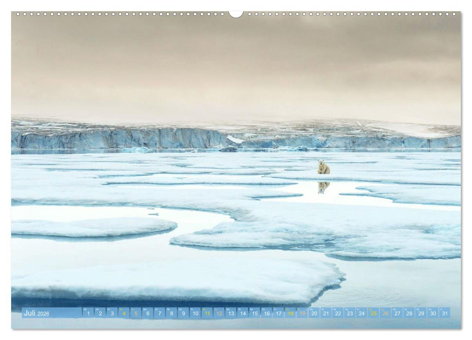 Eisbären: Lebenskünstler im Eis (CALVENDO Premium Wandkalender 2026)
