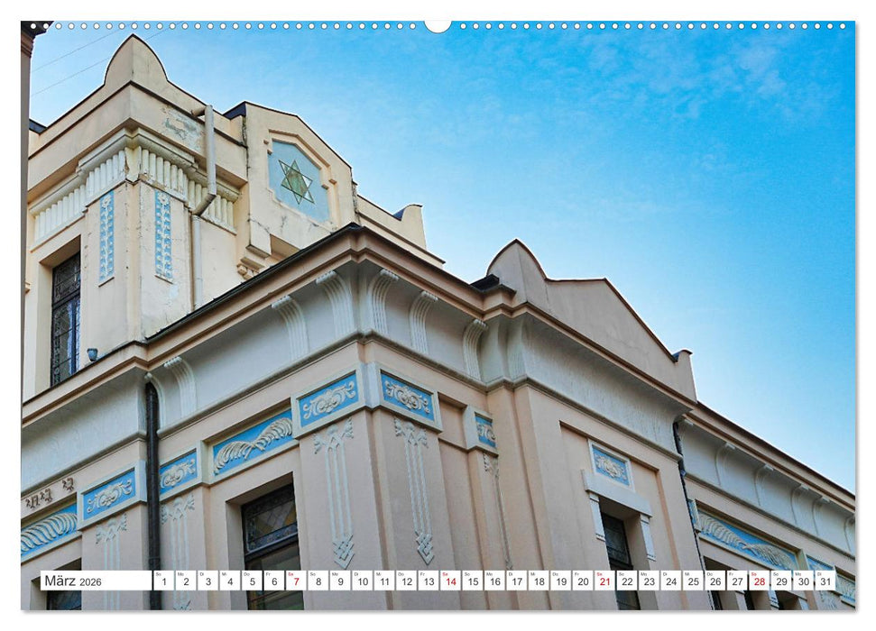 Synagogen im Baltikum (CALVENDO Premium Wandkalender 2026)